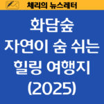 2025 화담숲, 자연이 숨 쉬는 힐링 여행지 🌿